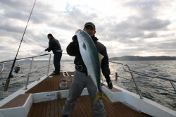 オーシャンズ 釣果