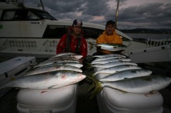 オーシャンズ 釣果