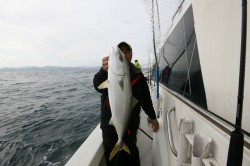 オーシャンズ 釣果