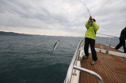 オーシャンズ 釣果