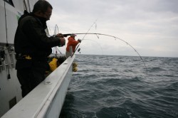 オーシャンズ 釣果
