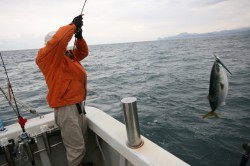 オーシャンズ 釣果