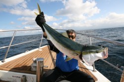 オーシャンズ 釣果