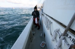 オーシャンズ 釣果