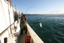 オーシャンズ 釣果
