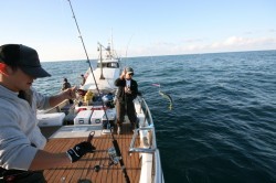 オーシャンズ 釣果