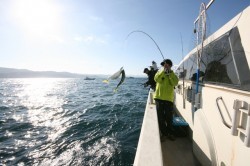 オーシャンズ 釣果