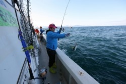 オーシャンズ 釣果