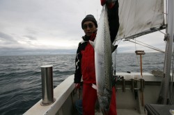 オーシャンズ 釣果