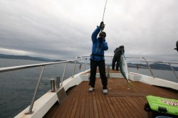 オーシャンズ 釣果