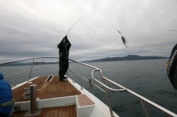 オーシャンズ 釣果