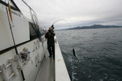 オーシャンズ 釣果