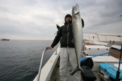 オーシャンズ 釣果