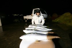 オーシャンズ 釣果