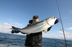 オーシャンズ 釣果