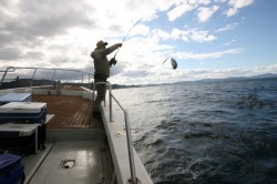オーシャンズ 釣果