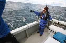 オーシャンズ 釣果