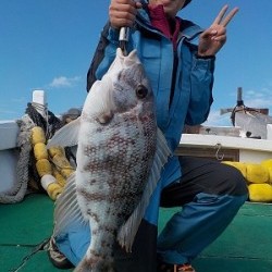 明日丸 釣果