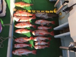 第二隆星丸 釣果