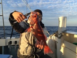 第二隆星丸 釣果