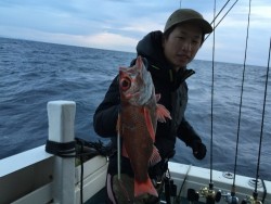 第二隆星丸 釣果