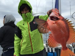 オーシャンキッズ 釣果