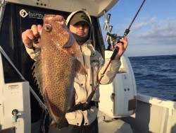 オーシャンキッズ 釣果