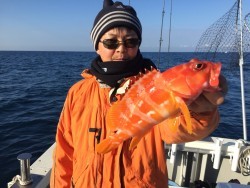 オーシャンキッズ 釣果