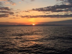 オーシャンキッズ 釣果