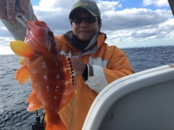 オーシャンキッズ 釣果