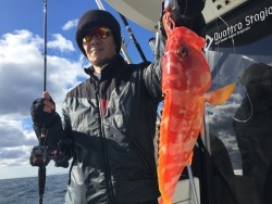 オーシャンキッズ 釣果