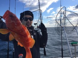 オーシャンキッズ 釣果