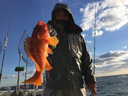 オーシャンキッズ 釣果