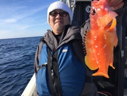 オーシャンキッズ 釣果