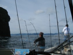 Aquanaut(アクアノート) 釣果