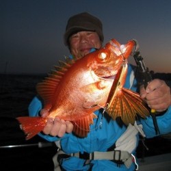 Aquanaut(アクアノート) 釣果