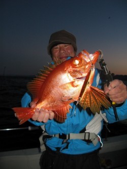 Aquanaut(アクアノート) 釣果