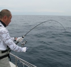 Aquanaut(アクアノート) 釣果