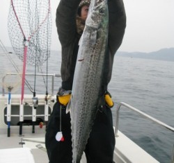 Aquanaut(アクアノート) 釣果