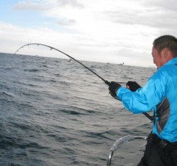 Aquanaut（アクアノート） 釣果