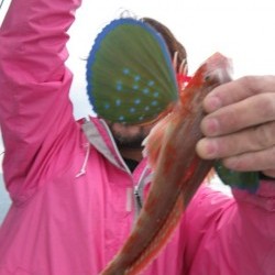 Aquanaut（アクアノート） 釣果