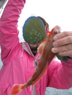 Aquanaut（アクアノート） 釣果