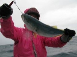 Aquanaut（アクアノート） 釣果