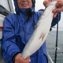 Aquanaut（アクアノート） 釣果