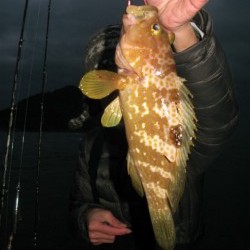 Aquanaut（アクアノート） 釣果