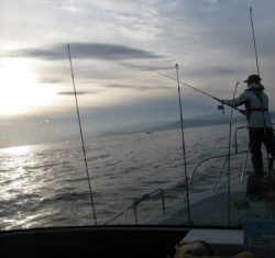 Aquanaut（アクアノート） 釣果