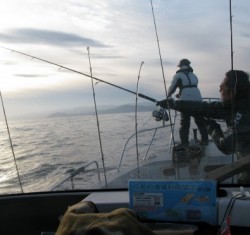 Aquanaut（アクアノート） 釣果