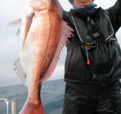 Aquanaut（アクアノート） 釣果