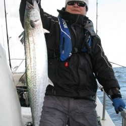 Aquanaut（アクアノート） 釣果