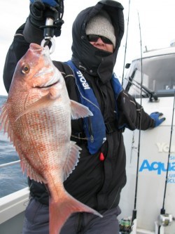 Aquanaut（アクアノート） 釣果